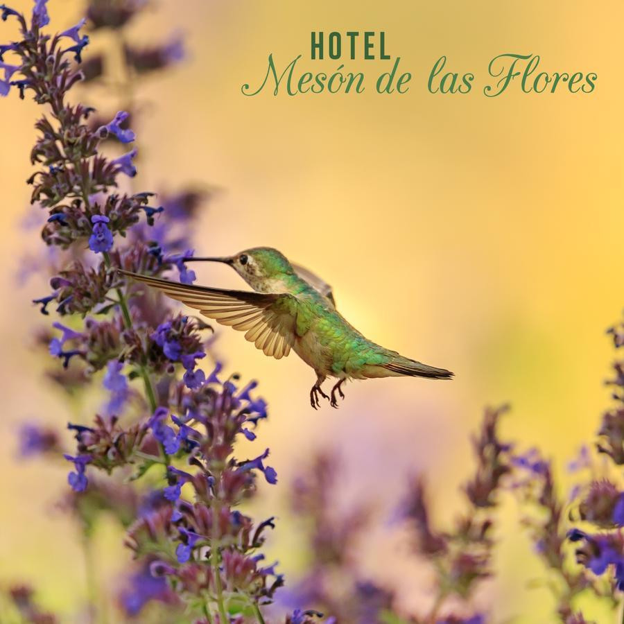 Hotel Meson De Las Flores อาร์เมเนีย ภายนอก รูปภาพ