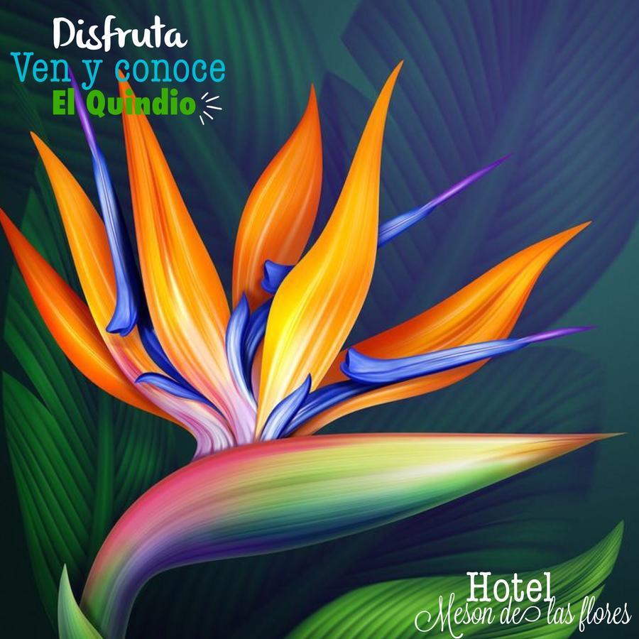 Hotel Meson De Las Flores อาร์เมเนีย ภายนอก รูปภาพ